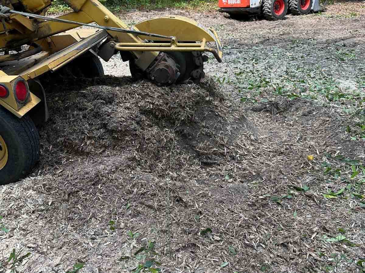 El Costeño Tree Service LLC